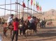 اولین دوره مسابقات استانی اسب سواری کورس بهاره درمیناب