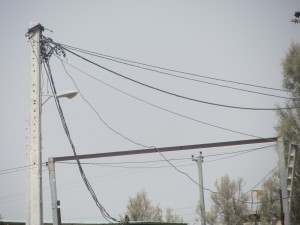 IMG_0791
