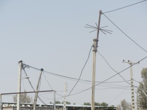 IMG_0794