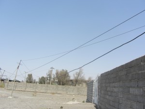 IMG_0795