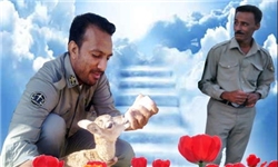 قاتلان دو محیط بان هرمزگانی دستگیرشدند