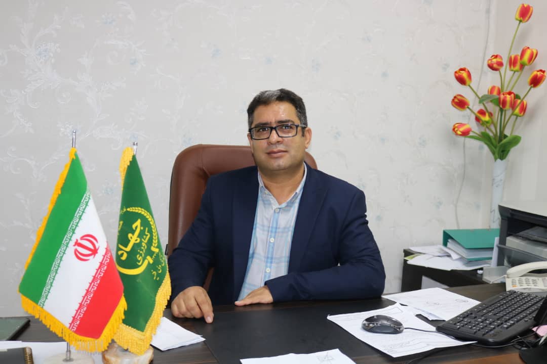 شناسایی بیش از ۳۰۰ راس اسب در جنوب کرمان شناسایی بیش از ۳۰۰ راس اسب در جنوب کرمان