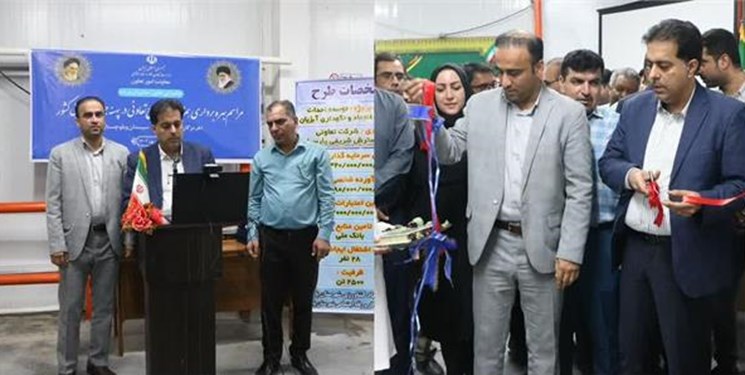 افتتاح طرح تعاونی آبزی گسترش شریفی پارسیان بعنوان طرح تعاونی برتر جنوب کشور افتتاح طرح تعاونی آبزی گسترش شریفی پارسیان بعنوان طرح تعاونی برتر جنوب کشور