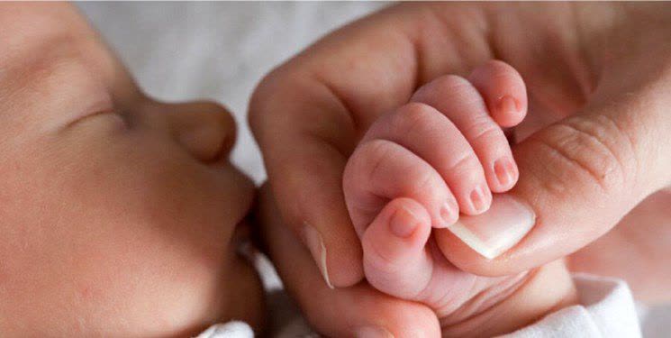 ۶ هزار نفر در هرمزگان تسهیلات فرزندآوری گرفتند ۶ هزار نفر در هرمزگان تسهیلات فرزندآوری گرفتند