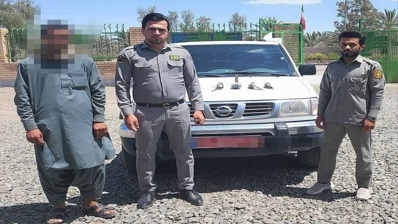دستگیری متخلف شکار غیر مجاز در مهرستان