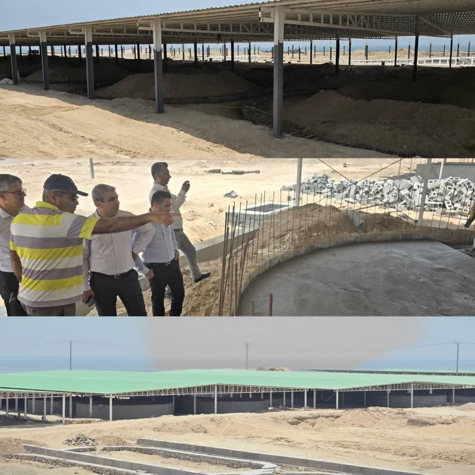 بازدید مدیرکل شیلات هرمزگان از مرکز پروش میگوی متراکم در بندر بستانه بازدید مدیرکل شیلات هرمزگان از مرکز پروش میگوی متراکم در بندر بستانه