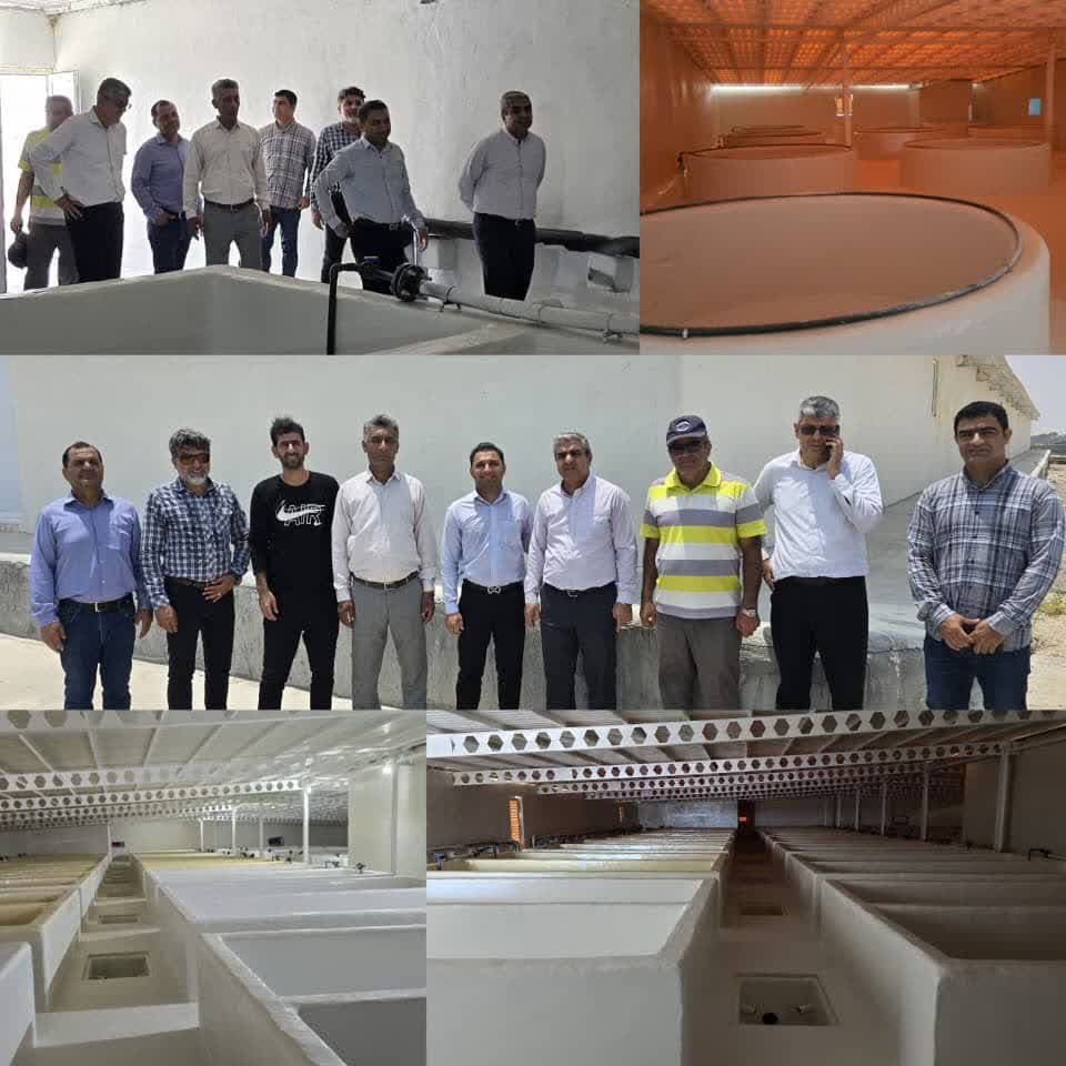بازدید مدیر کل شیلات هرمزگان از مرکز تکثیر آماده تولید اشکانی بازدید مدیر کل شیلات هرمزگان از مرکز تکثیر آماده تولید اشکانی