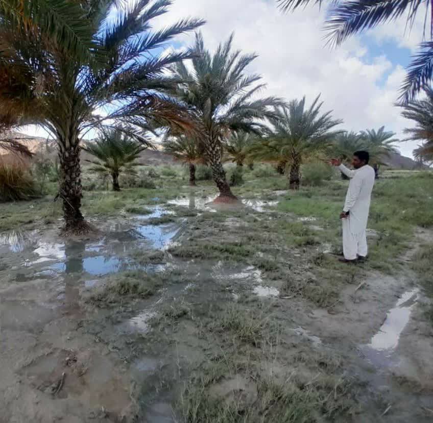 خسارت سیل به بیش از ۲۵ هزار هکتار از اراضی سیستان و بلوچستان خسارت سیل به بیش از ۲۵ هزار هکتار از اراضی سیستان و بلوچستان
