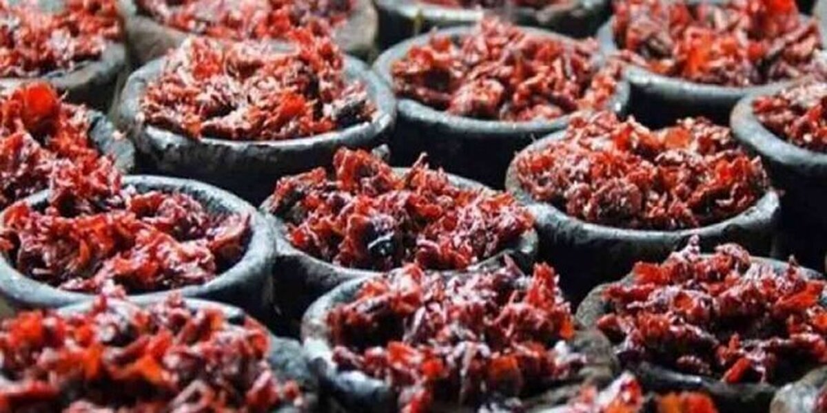 کشف محموله ۱۱ میلیارد ریالی تنباکوی قاچاق در قشم کشف محموله ۱۱ میلیارد ریالی تنباکوی قاچاق در قشم