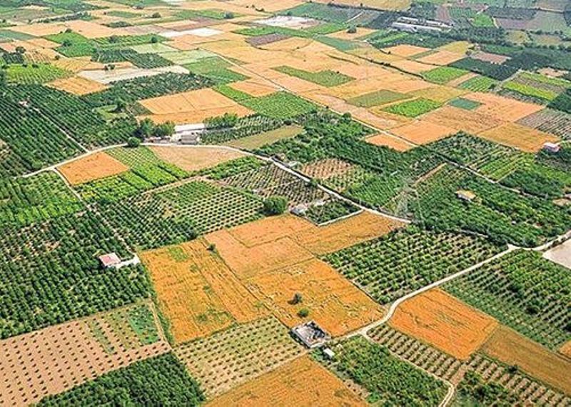 ورود دادستانی کرمان به مشکل ٣٩ ساله زمینهای تعاونی فرهنگیان ورود دادستانی کرمان به مشکل ٣٩ ساله زمینهای تعاونی فرهنگیان