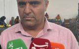 آغاز صادرات محصولات گلخانهای هرمزگان به سه کشور با بهرهبرداری از سردخانه جدید بندرعباس آغاز صادرات محصولات گلخانهای هرمزگان به سه کشور با بهرهبرداری از سردخانه جدید بندرعباس
