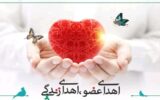 جوان ۲۲ ساله هرمزگانی به ۳ بیمار جان دوباره بخشید جوان ۲۲ ساله هرمزگانی به ۳ بیمار جان دوباره بخشید
