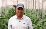 سنگر ما گلخانه بود؛ تولید را تعطیل نکردیم