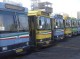 اجرای طرح ساماندهی اتوبوس و مینی بوس دربندرعباس 