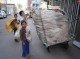 هزار و دویست و پنجاه و هفت کودک کار در سیستان و بلوچستان!