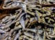 صادرات ۳۰۰۰تنی ماهی خشک از قشم