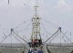 مجوز فعالیت ۱۶ کشتی ترال در جاسک لغو شد