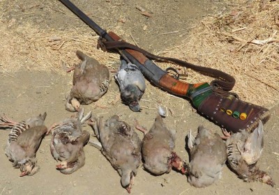 بازداشت شکارچی متخلف در رودان