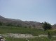 روستای اسپند بخش سندرک شهرستان میناب مرواریدی در صدف