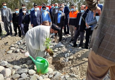 آئین روز درختکاری در شهرستان جیرفت برگزار شد.