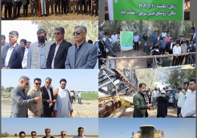 روز مزرعه استانی برداشت محصولات گندم و کلزا در جنوب کرمان برگزار شد