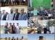 روز مزرعه استانی برداشت محصولات گندم و کلزا در جنوب کرمان برگزار شد