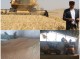 پایان برداشت گندم در شهرستان فاریاب با تولید بالغ بر ۲۸هزار تن محصول