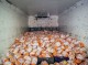 بیش از ۹۰۰ کیلوگرم مرغ تاریخ گذشته در زاهدان معدوم شد