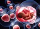 افزایش ۳۰ درصدی ذخیره خون بند ناف نوزاد در هرمزگان