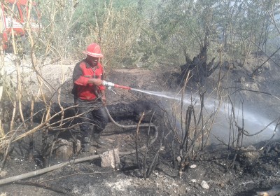 آتش سوزی در ۴ هکتار از باغات میناب