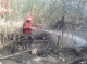 آتش سوزی در ۴ هکتار از باغات میناب